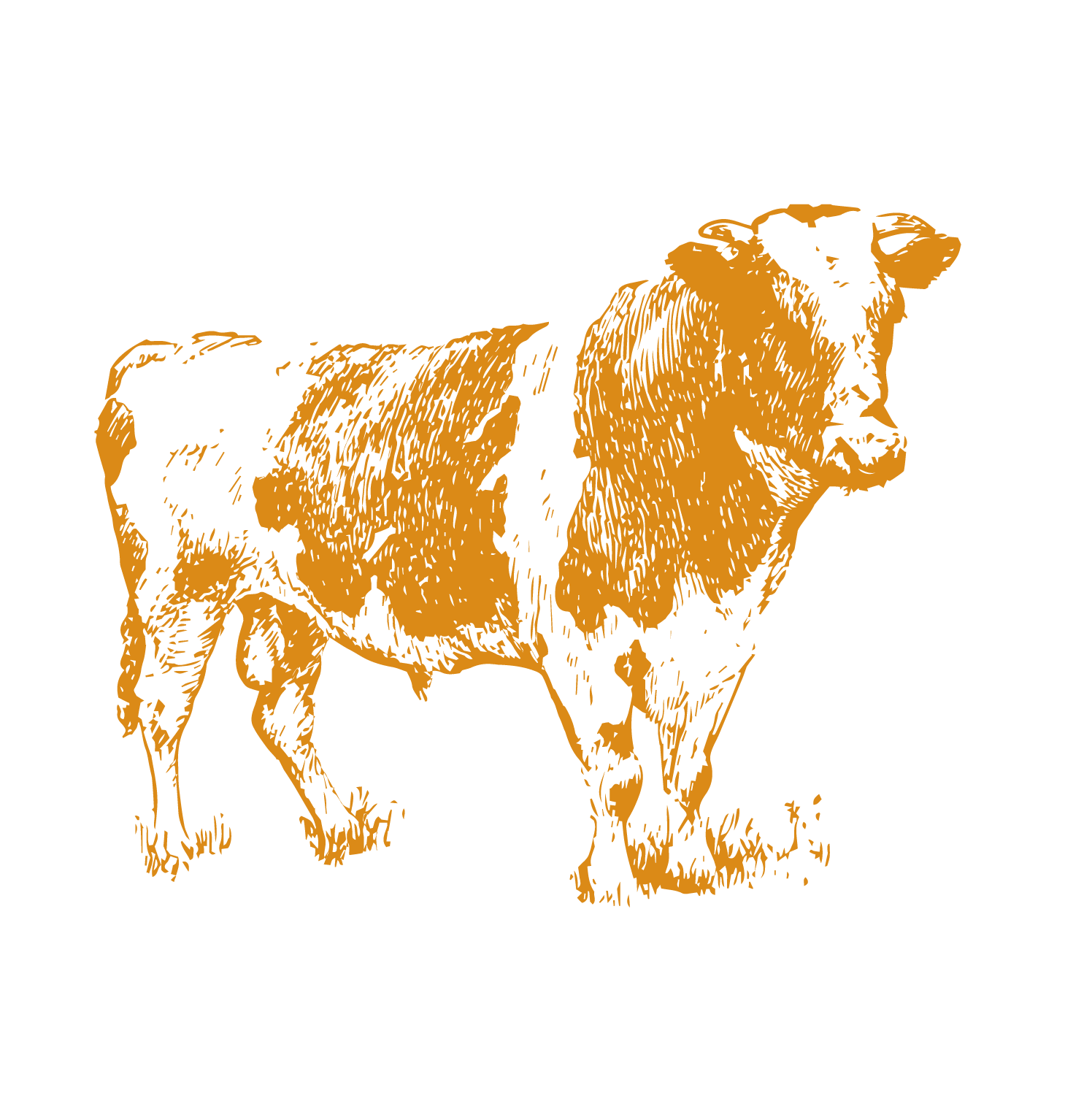 illustrated cow icon in orange