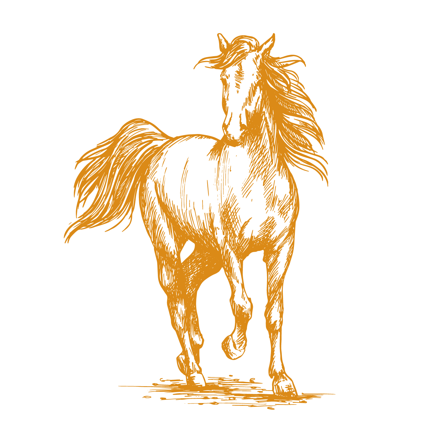 illustrated horse icon in orange