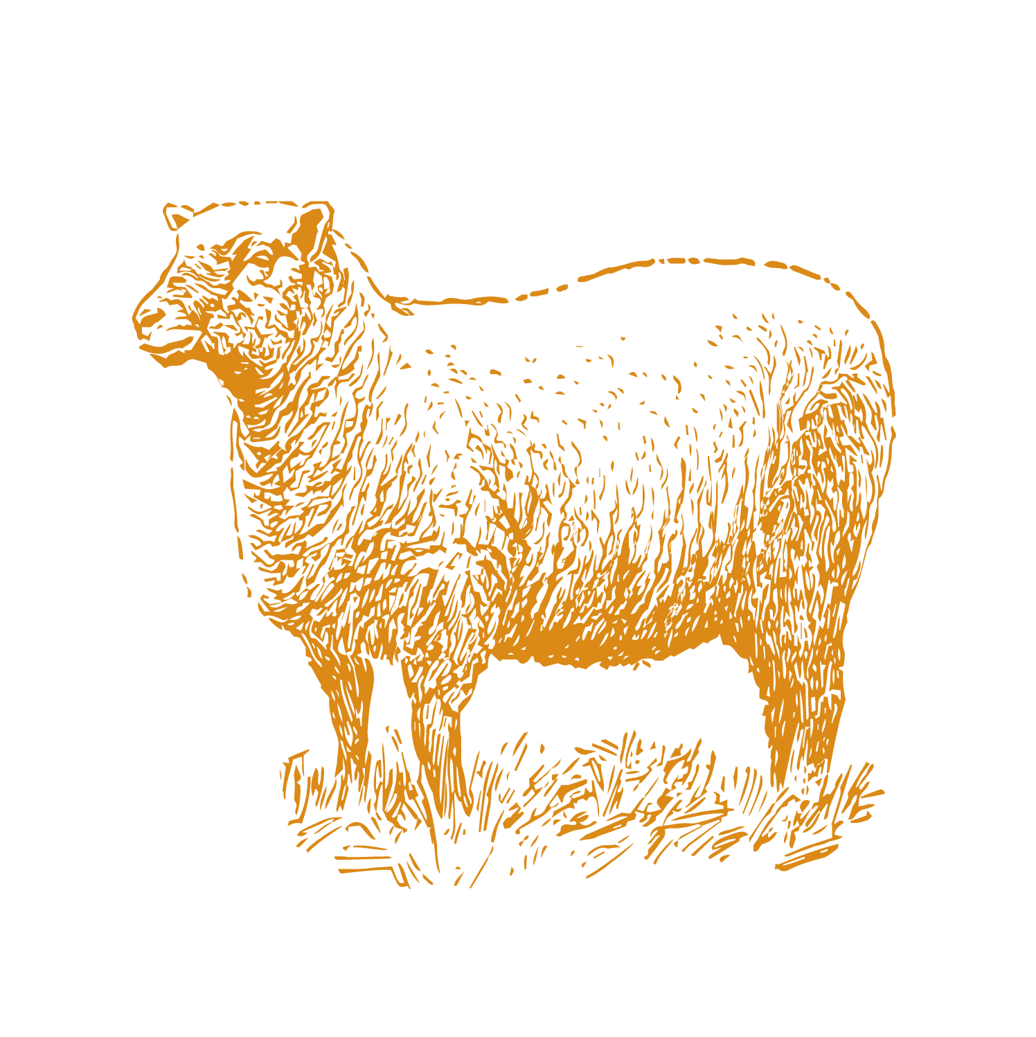 illustrated sheep icon in orange
